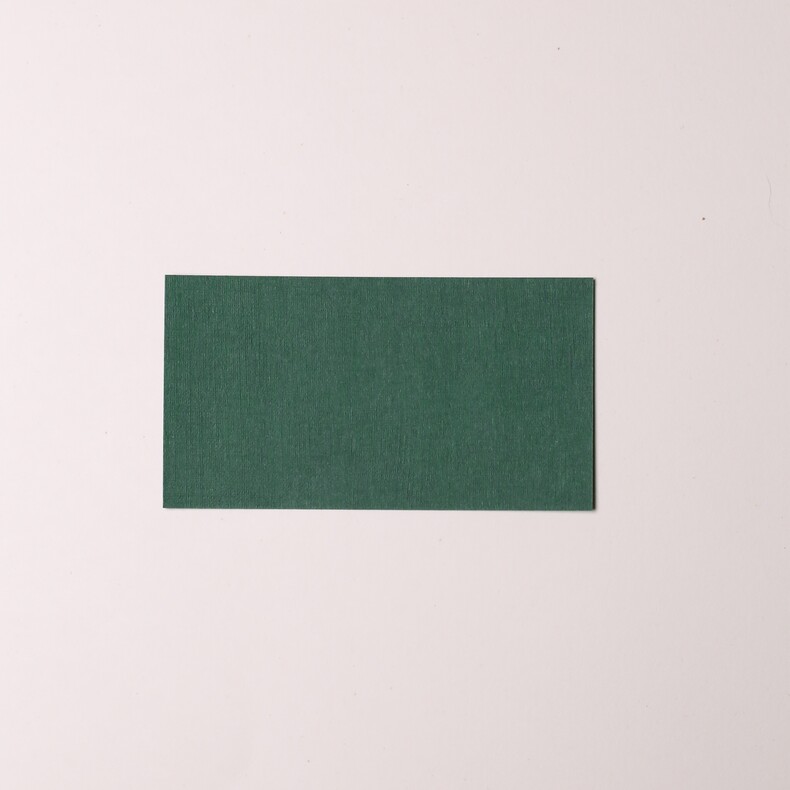 Банкетная карточка 5х9, 10 шт,  зелёный